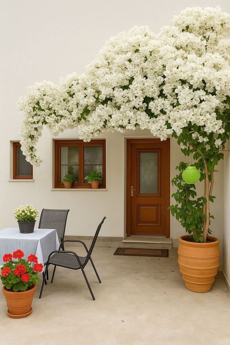🌸 Le charme du Jasmin, directement dans votre jardin