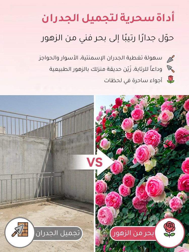 🌸بذور الورد المتسلق النادرة سهلة النمو، عطرة، مزهرة معمرة