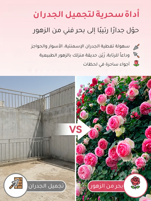 🌸بذور الورد المتسلق النادرة سهلة النمو، عطرة، مزهرة معمرة