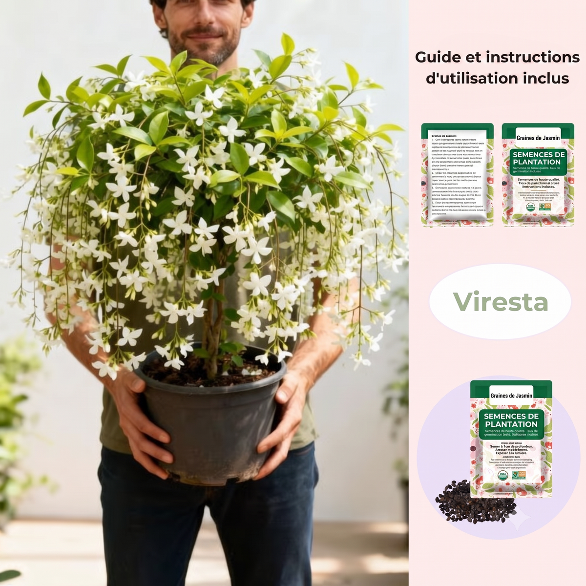 🌸 Le charme du Jasmin, directement dans votre jardin